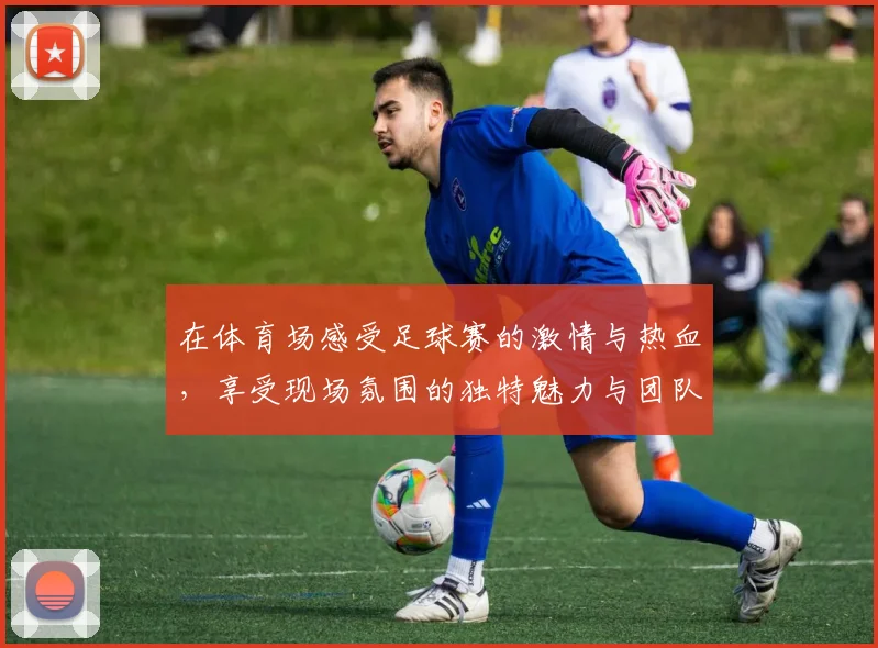 在体育场感受足球赛的激情与热血，享受现场氛围的独特魅力与团队精神