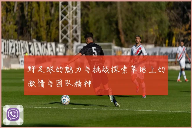 野足球的魅力与挑战探索草地上的激情与团队精神