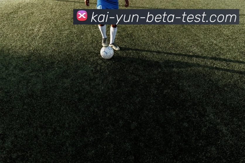 奖项证书